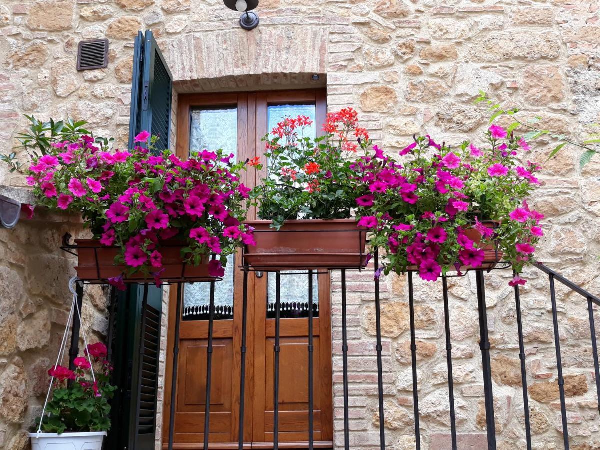 La Corte Antica Apartment Pienza Exterior photo